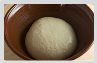 Fermentación