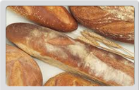 Panes